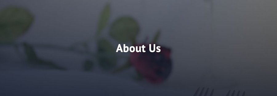 Inner page banner